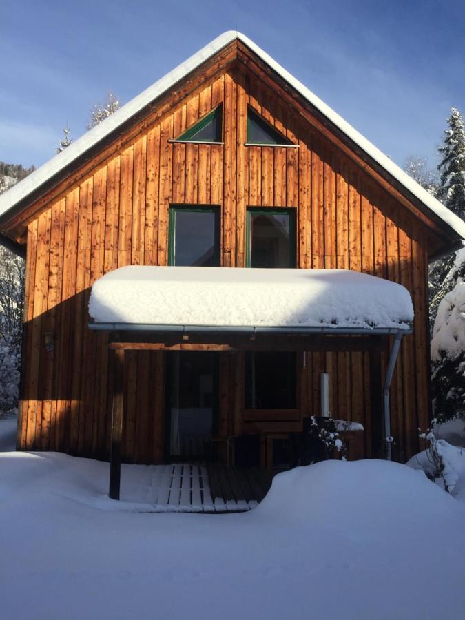 Alpenferienhaus Sophia Sankt Lorenzen ob Murau Luaran gambar