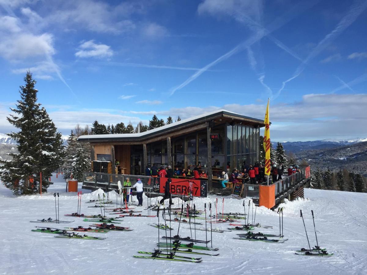 Alpenferienhaus Sophia Sankt Lorenzen ob Murau Luaran gambar