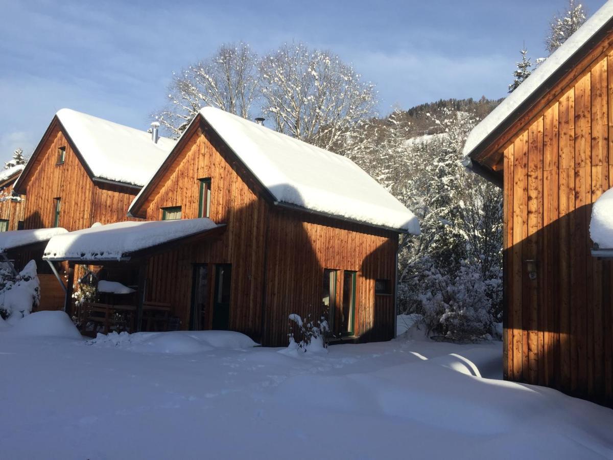 Alpenferienhaus Sophia Sankt Lorenzen ob Murau Luaran gambar