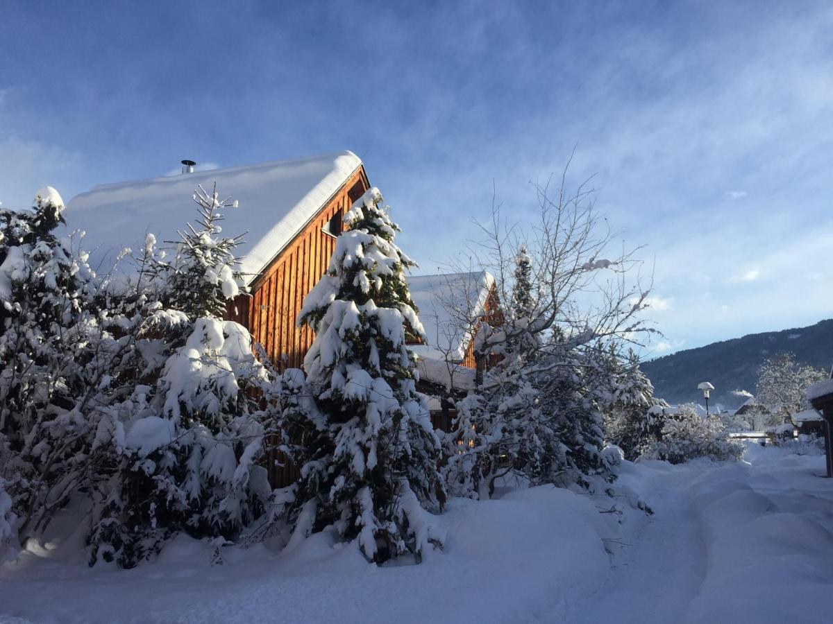 Alpenferienhaus Sophia Sankt Lorenzen ob Murau Luaran gambar