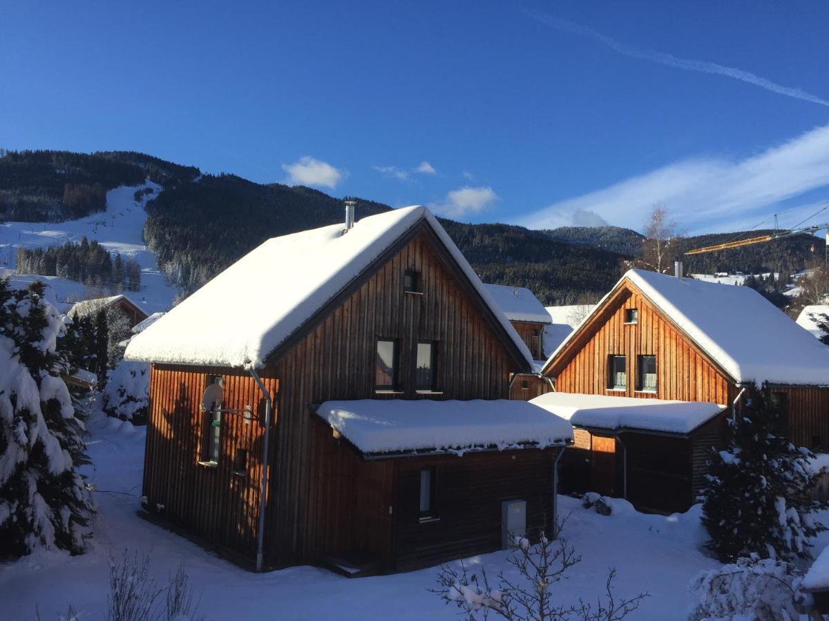 Alpenferienhaus Sophia Sankt Lorenzen ob Murau Luaran gambar