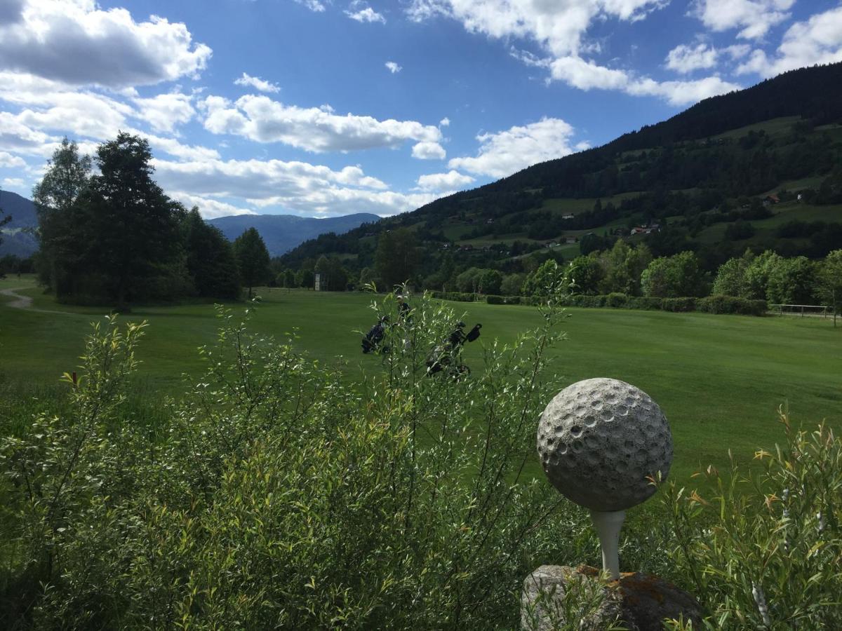 Alpenferienhaus Sophia Sankt Lorenzen ob Murau Luaran gambar