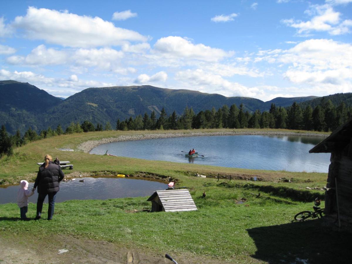Alpenferienhaus Sophia Sankt Lorenzen ob Murau Luaran gambar