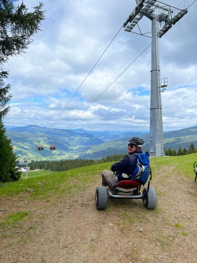Alpenferienhaus Sophia Sankt Lorenzen ob Murau Luaran gambar
