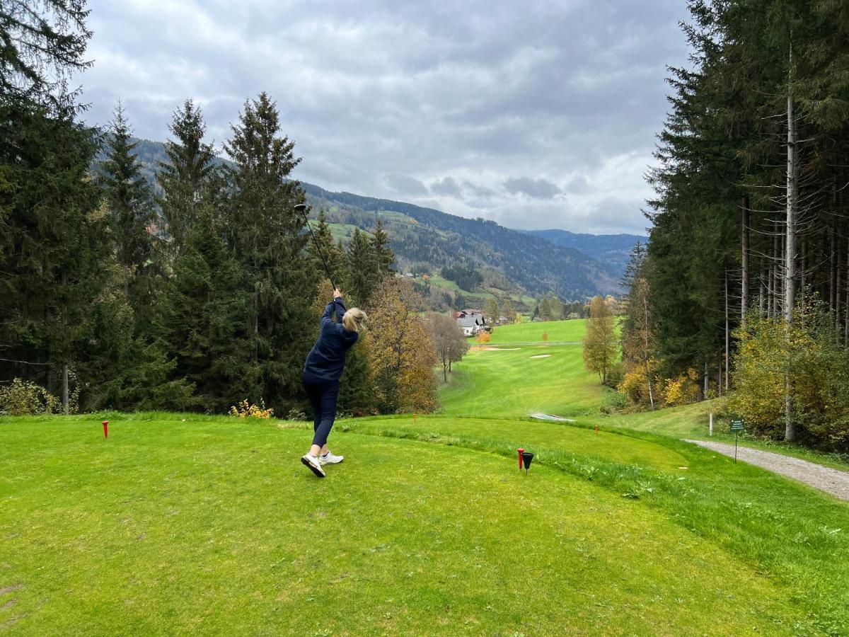 Alpenferienhaus Sophia Sankt Lorenzen ob Murau Luaran gambar